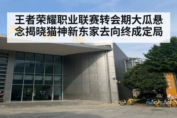 王者荣耀职业联赛转会期大瓜悬念揭晓猫神新东家去向终成定局